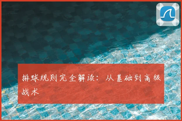 排球规则完全解读:从基础到高级战术