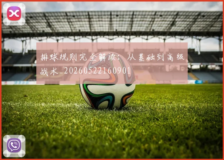 排球规则完全解读：从基础到高级战术_20260522160901