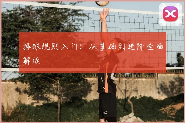 排球规则入门：从基础到进阶全面解读