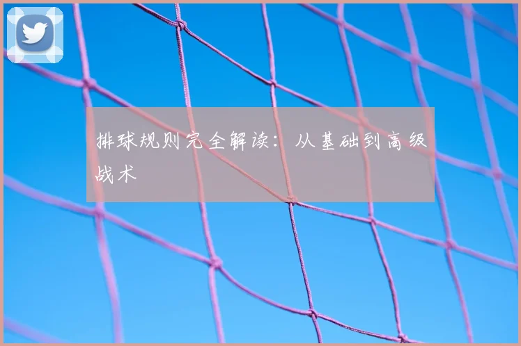 排球规则完全解读：从基础到高级战术