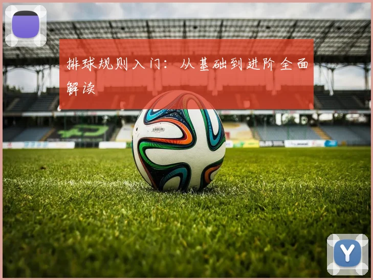 排球规则入门：从基础到进阶全面解读