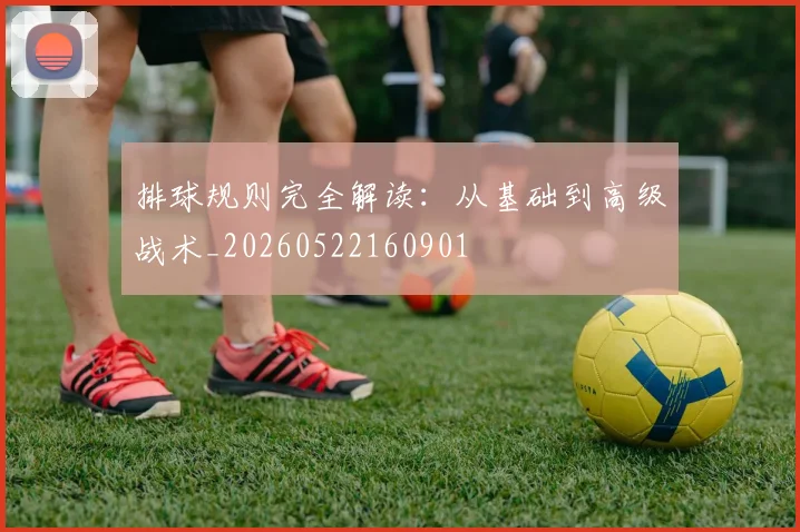 排球规则完全解读：从基础到高级战术_20260522160901