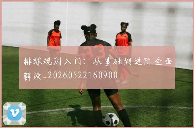 排球规则入门：从基础到进阶全面解读_20260522160900