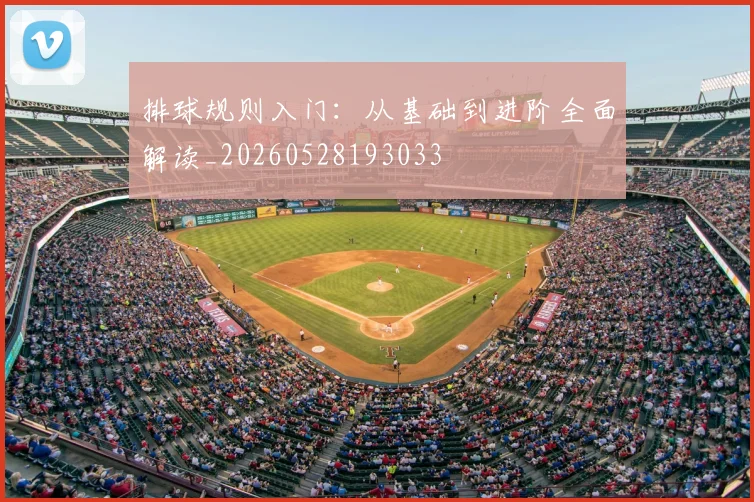 排球规则入门：从基础到进阶全面解读_20260528193033